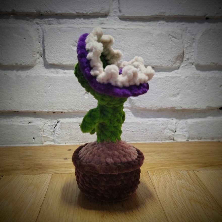 Carnivorous Pet Plant photo 1 of 1 by Loop & Leaf