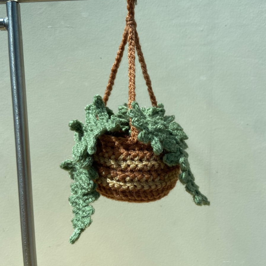 Hanging Fern Plant photo 1 of 4 by Stitches and a Needle