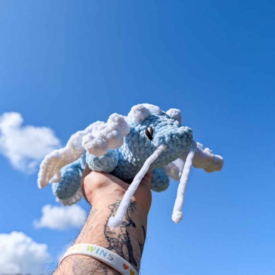 Nimm the air dragon photo 1 of 1 by @uriscreations