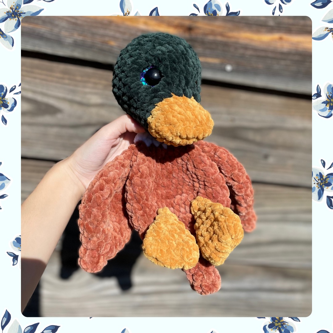 Daisy and Duke the Duck photo 1 of 5 by CraftyInnovations