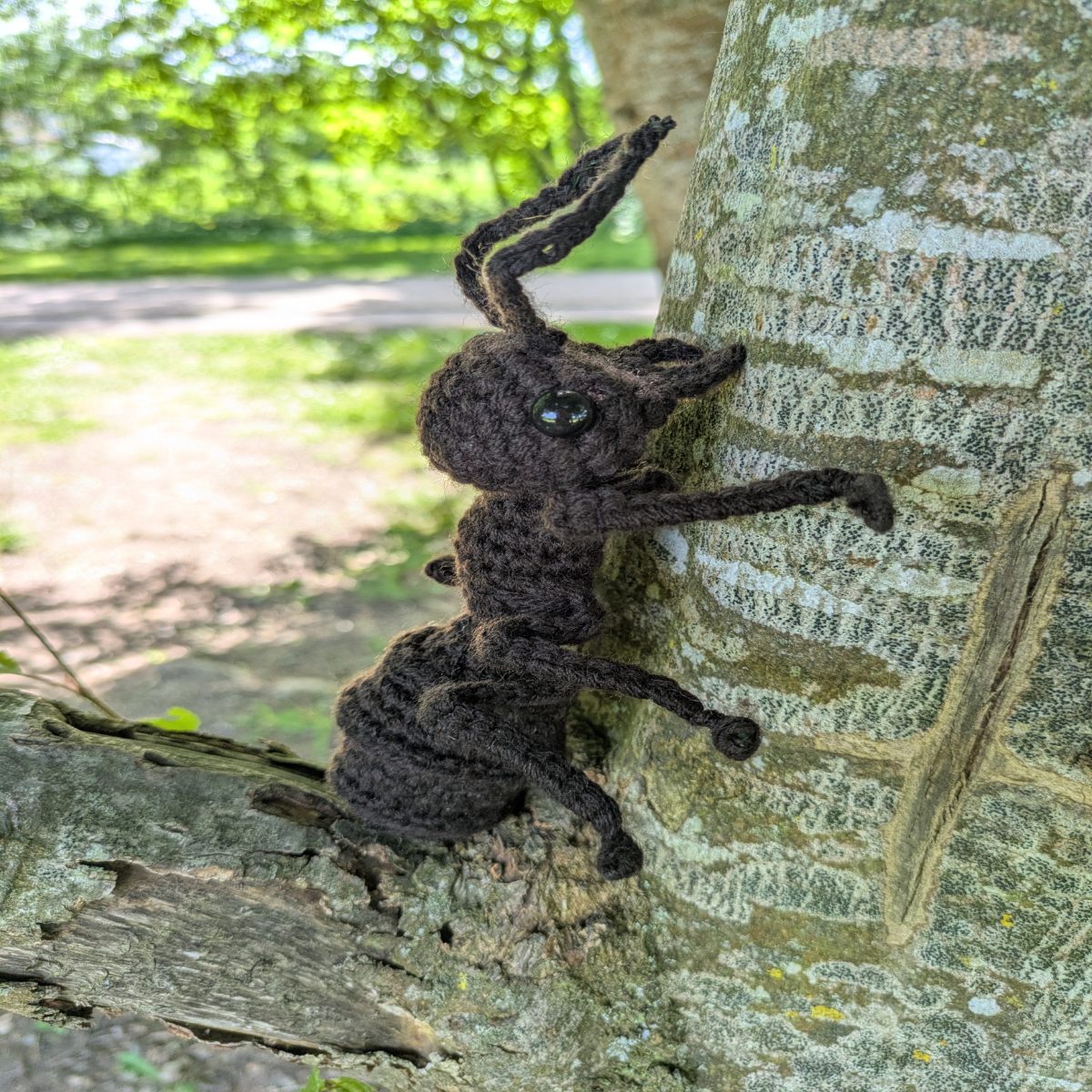 Realistic ant photo 1 of 2 by Crochet.by.clr